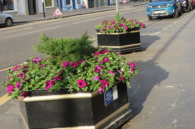 Planters Outside Jersey Bean Cafe