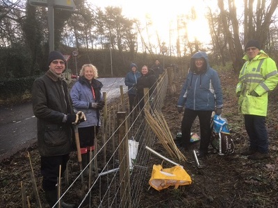 Hedge Planting Volunteers at the Peel