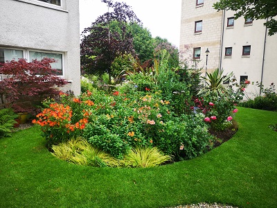Central Flower Bed at St Ninian's Road Garden 