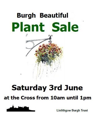 Plant Sale on 3rd June at Linlithgow Cross
