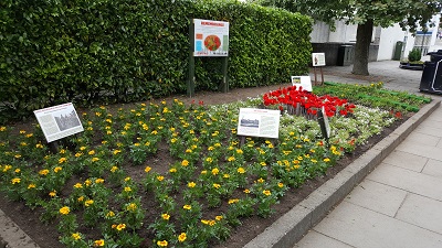 Transition Linlithgow's World War One Remembrance Bed